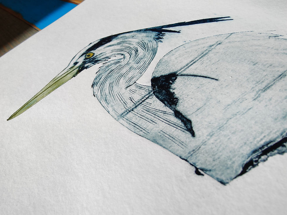 Thumbnail: Heron