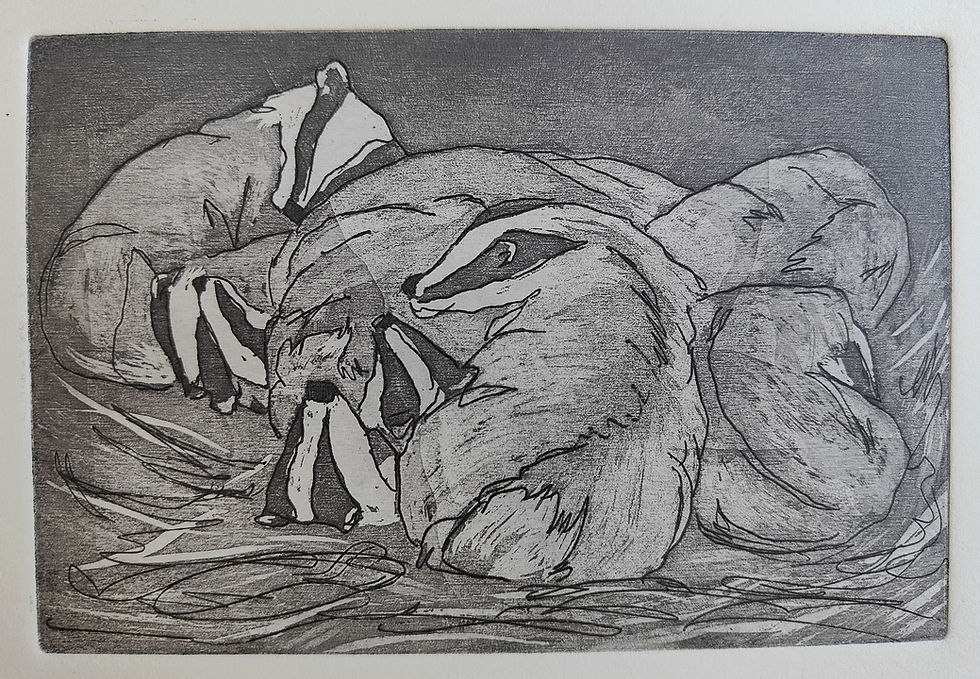 Thumbnail: Badger Bundle