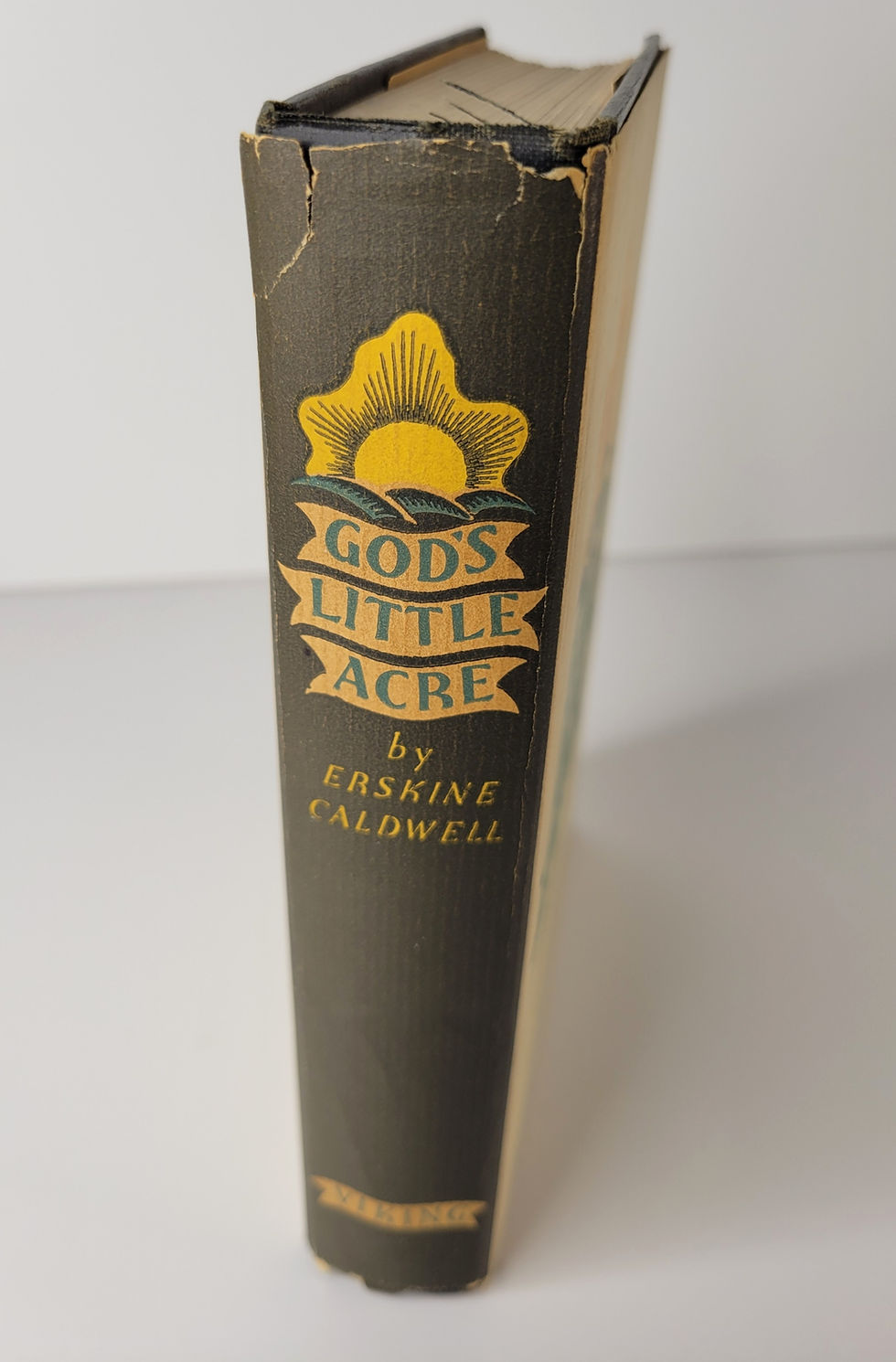 Thumbnail: dust jacket spine