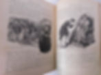 Thumbnail: Mark Twain ~ The Prince and the Pauper, 1882 Osgood First Edition, Sheep Binding