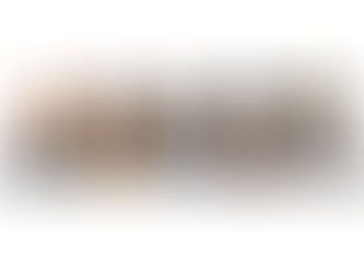 Montener the Menace - High Noon feat. Wordsworth, Rah Digga, Masta Ace & Fatlip [Video & 7"]