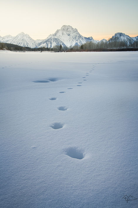 Grand Tetons Winter Travel Photography