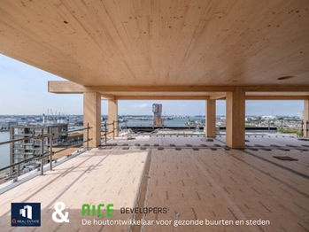We build Sustainable Urban Logistics Centers — in Timber!