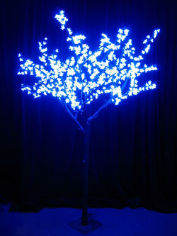 Blue Cherry Tree