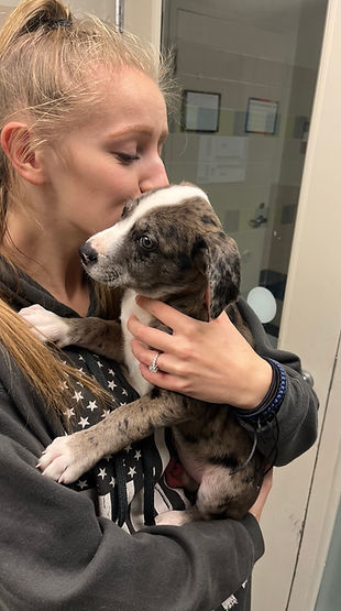 Blond girl kissing puppy