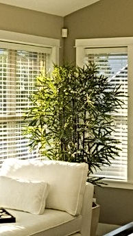 Faux Wood Blind