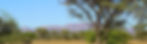 DSC04196-1024x308.jpg