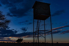 202112_Namibia_0687.jpeg