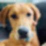 oakley.jpg