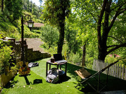 Pure nature