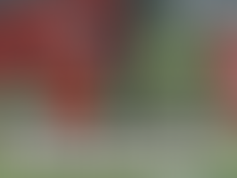 Allentown's '25 OL/DL Christian Macaluso Set for Big Fall Football Campaign with the Redbirds