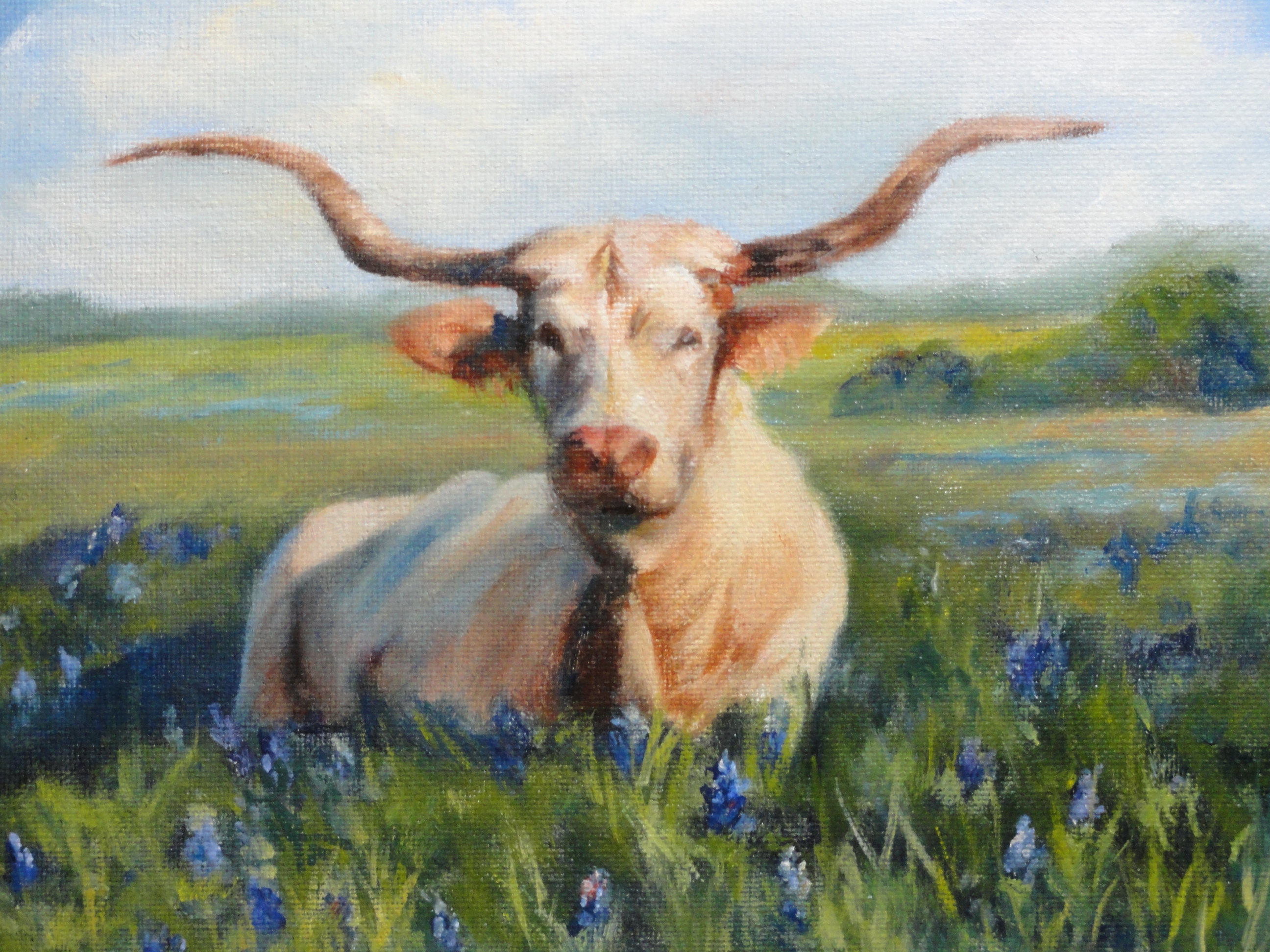 Shirley Kinworthy