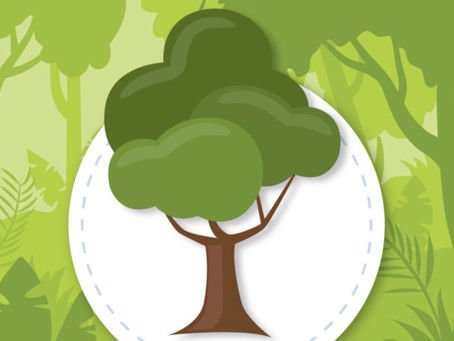 Prowise for a better world and a safe future