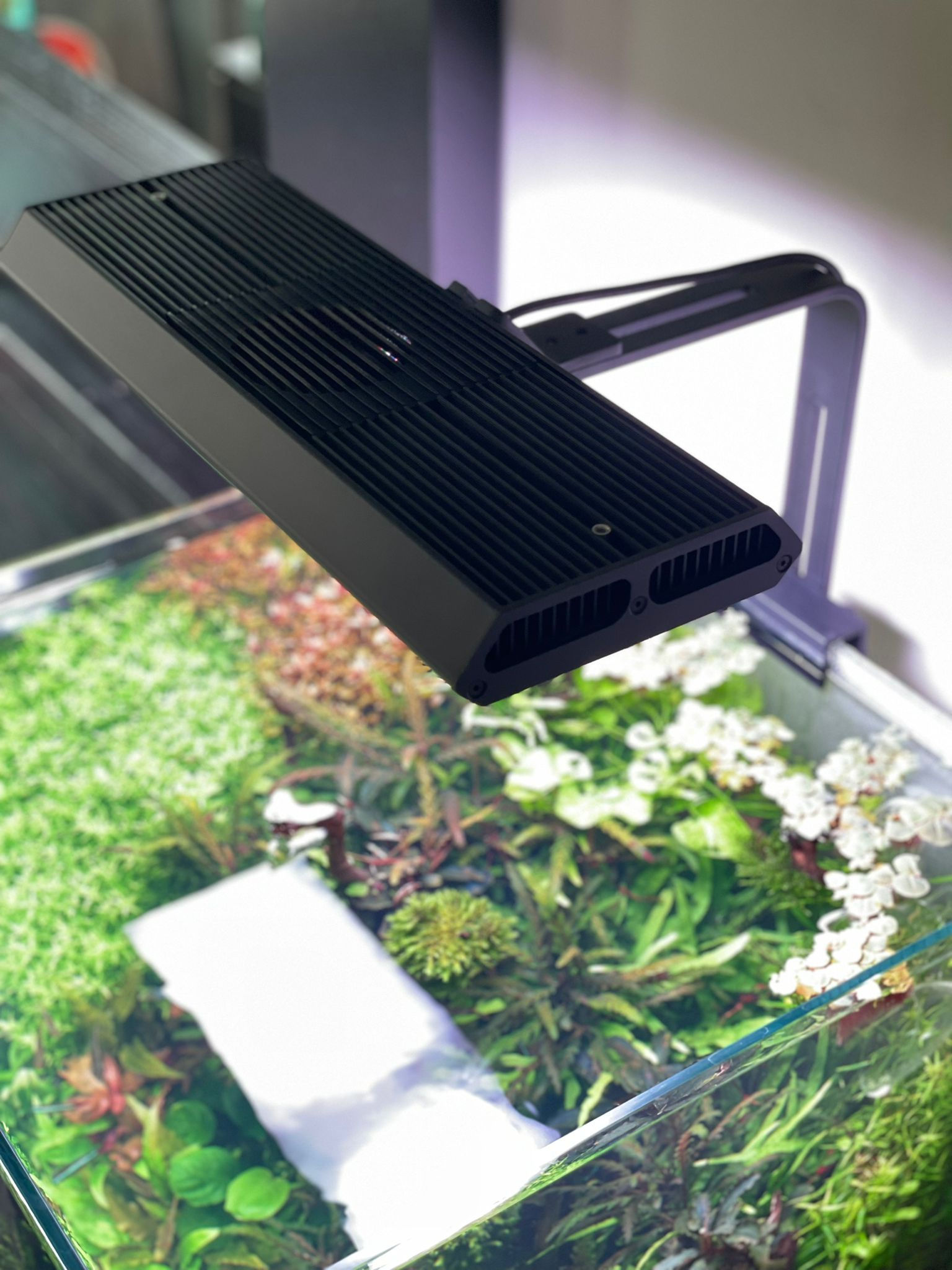 Rampe LED RGB plantes 60 cm avec lever de soleil