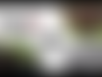 5/28ティク･ナット･ハン師メモリアルイベントの録画公開