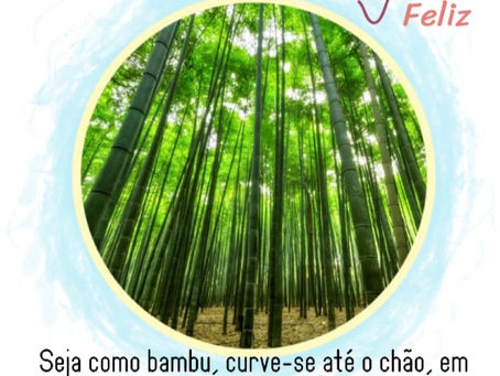 Seja como bambu!