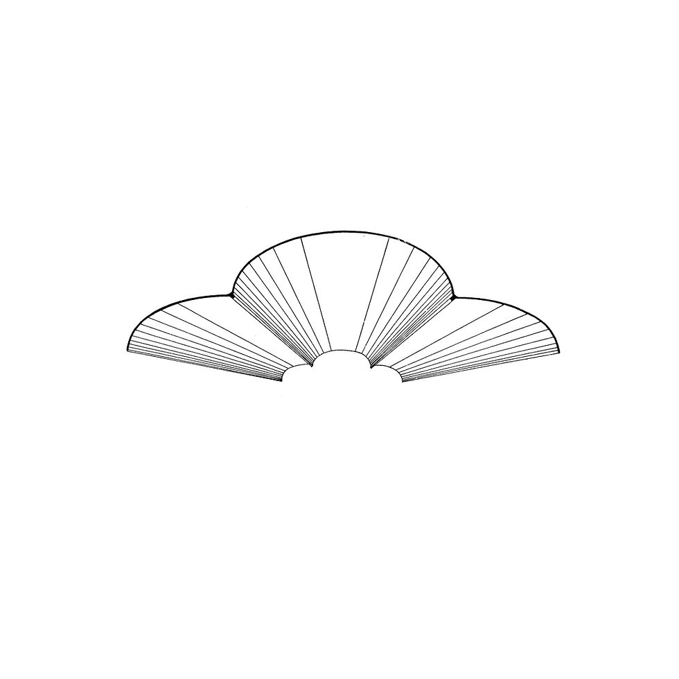 Technocratic Authority