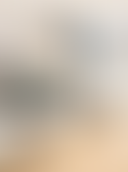 La Importancia de la Seguridad Física en Instituciones Financieras