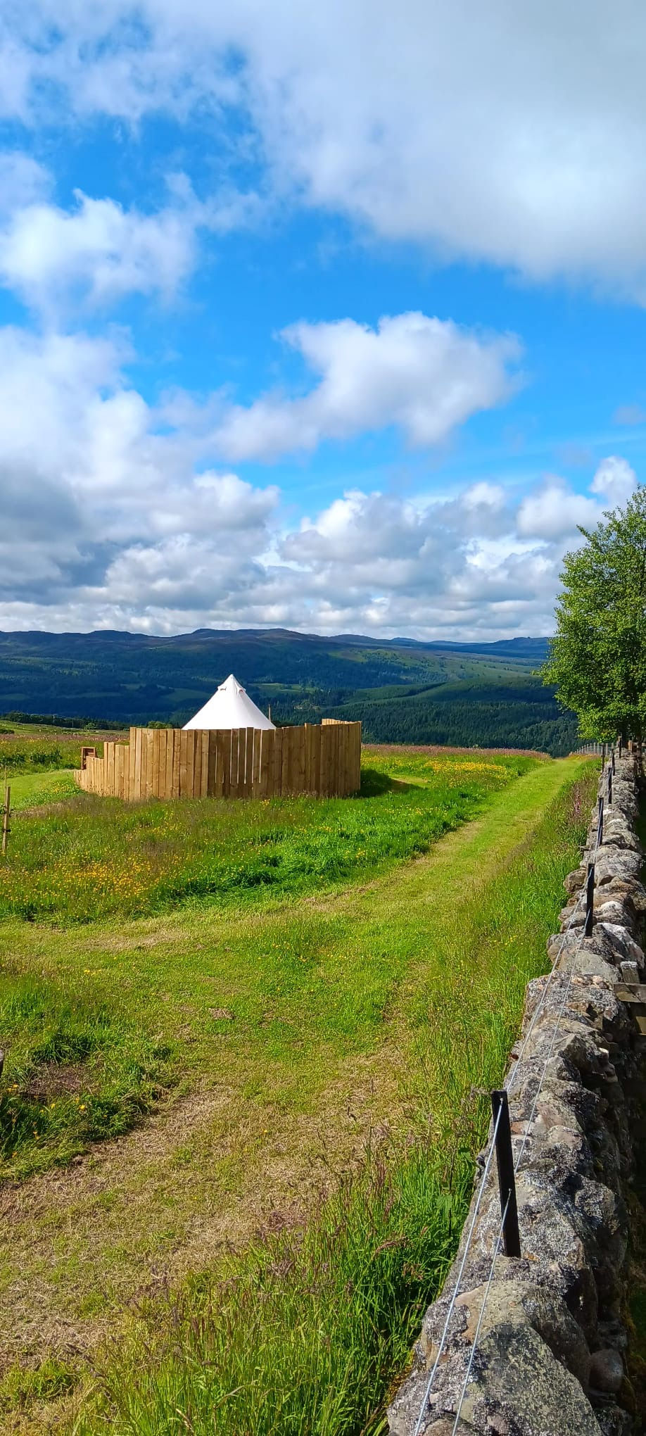 05f083b4-a876-4503-92ca-c51c2eaa915a