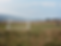 527961555_762182676298434_4124131690012627920_n.png