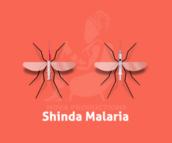 Shinda Malaria