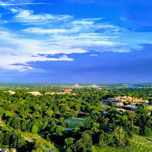 Lush Green Landscapes