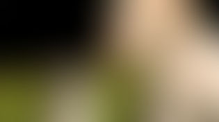 ¿Cuándo vacunar a sus mascotas?