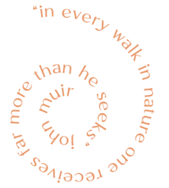 Element 2.png