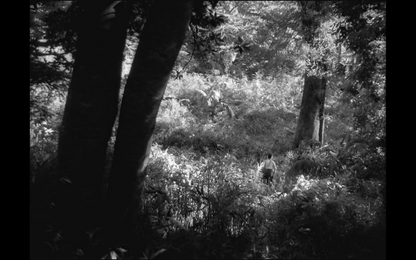 Screen Shot 2019-04-28 at 11.46.38 PM.pn