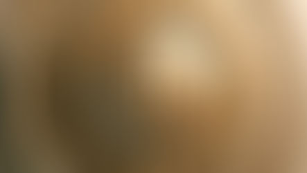 перо — символ на грамотността