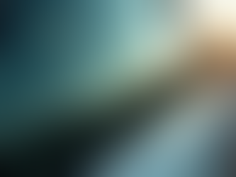 Why Choose Expert Car Window Tinting Services