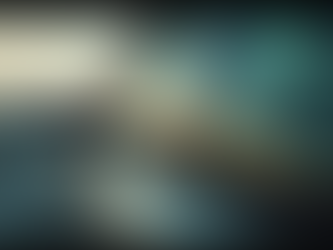 Why Choose Expert Car Window Tinting Services