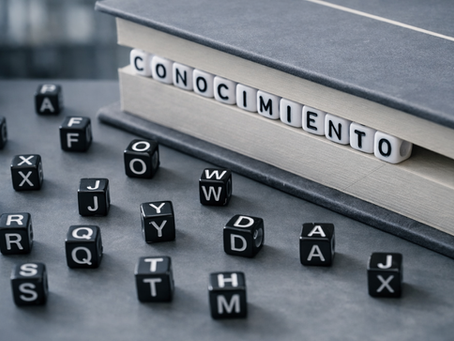 Del conocimiento al criterio como desafío de la nueva economía