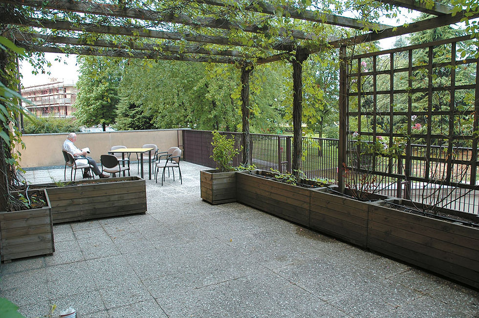 pergolato-3.jpg