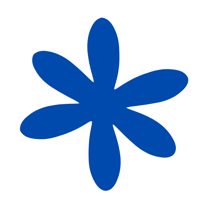 Corso Balloon Art House Party (2).png