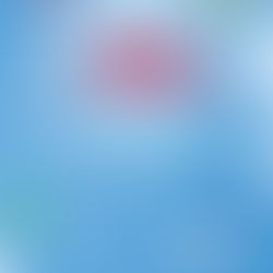 La Remontada de Todos