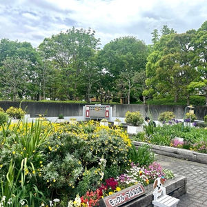 こんな美しい場所が市役所にあるんです