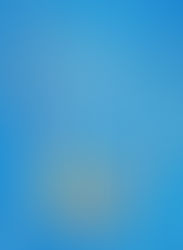 体力UPプログラム(*^。^*)