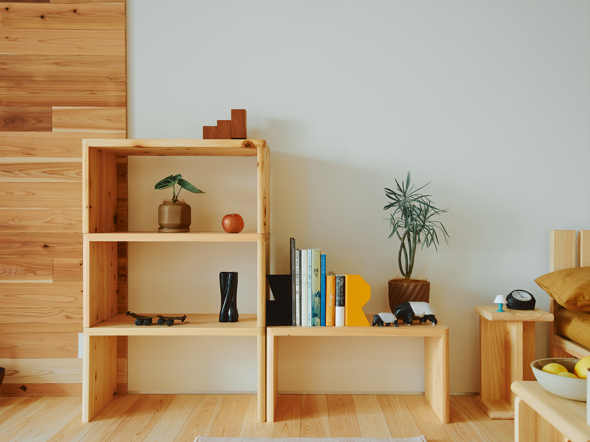Shelves 3