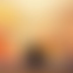 猫スペースって何?