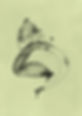 Untitled_Artwork 24.jpg