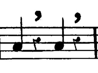 めずらしい表記