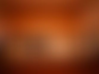 発表会のプログラム