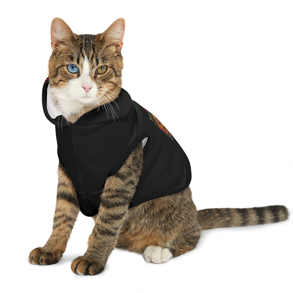 Thumbnail: Pet Hoodie Dragon slayer