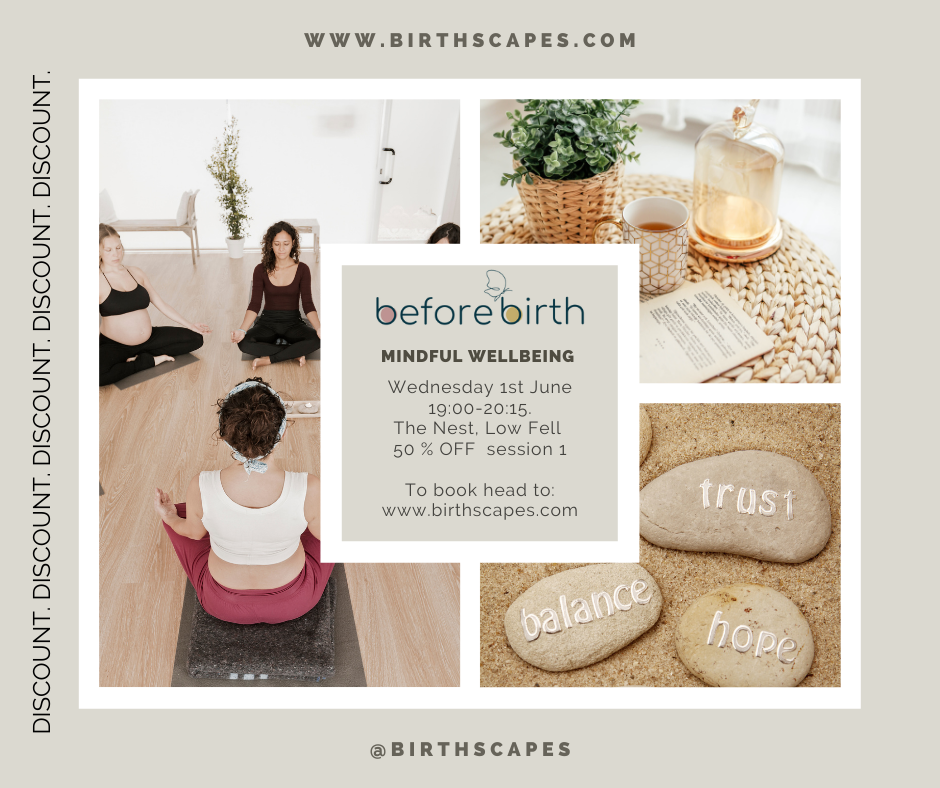 Introduction to Before Birth Mindful Wellbeing, 1st June @ The Nest, Low Fell