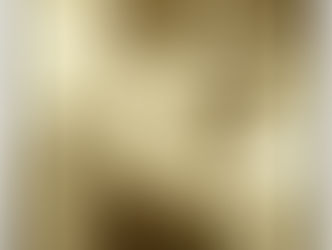 Mi tributo a «Genovevo», el artista que no conocí.