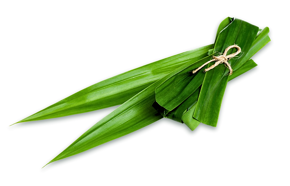 Untitled design (23).png