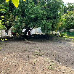 Imagen del terreno