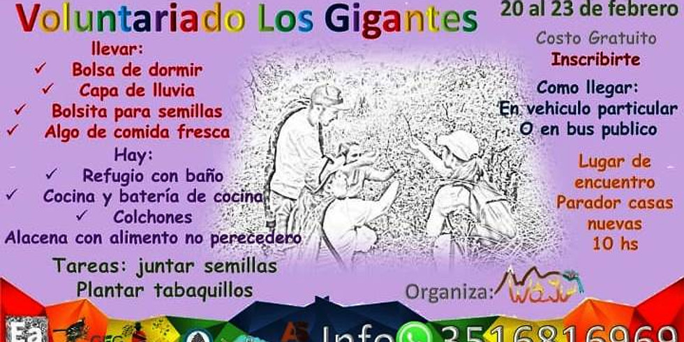 Voluntariado de recolección de semillas en Los Gigantes - Córdoba