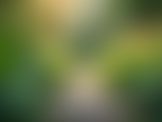 The Importance of Sustainable Living in Today's World